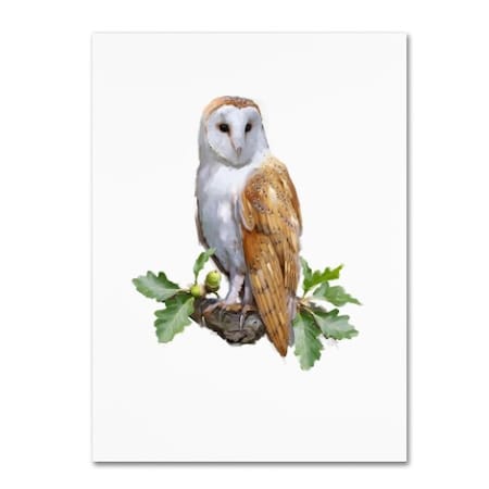 The Macneil Studio 'Barn Owl ' Canvas Art,14x19